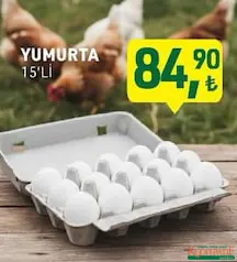 YUMURTA 15'Lİ fiyat ve kampanya bilgisi